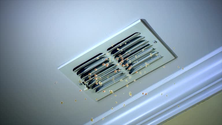Best HVAC Duct Inspection Services  in Richmond, IN